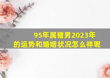 95年属猪男2023年的运势和婚姻状况怎么样呢