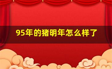 95年的猪明年怎么样了