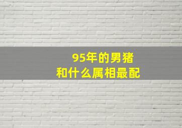 95年的男猪和什么属相最配