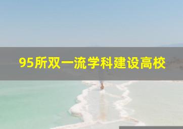 95所双一流学科建设高校