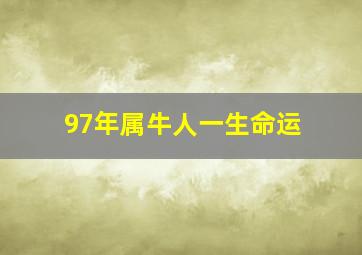 97年属牛人一生命运