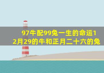 97牛配99兔一生的命运12月29的牛和正月二十六的兔