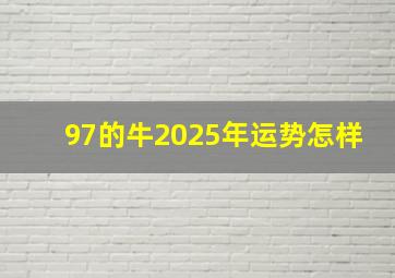 97的牛2025年运势怎样