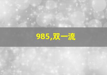 985,双一流