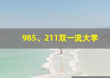 985、211双一流大学