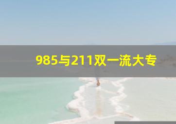 985与211双一流大专