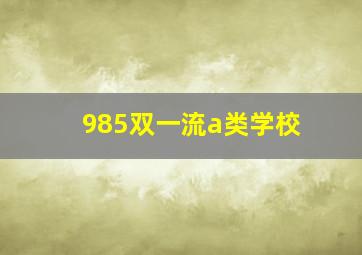 985双一流a类学校