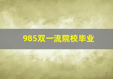 985双一流院校毕业