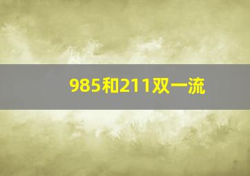 985和211双一流