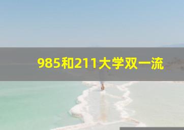 985和211大学双一流