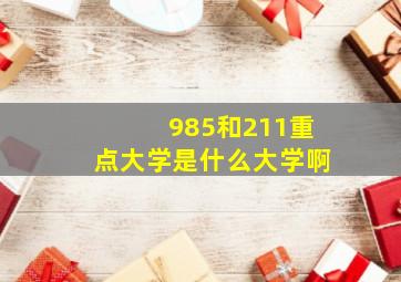 985和211重点大学是什么大学啊