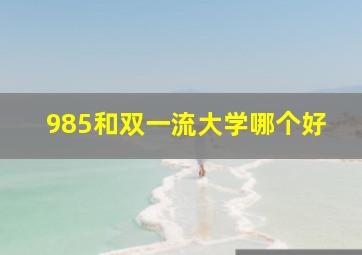 985和双一流大学哪个好