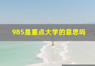 985是重点大学的意思吗