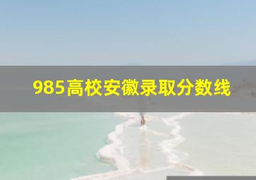 985高校安徽录取分数线