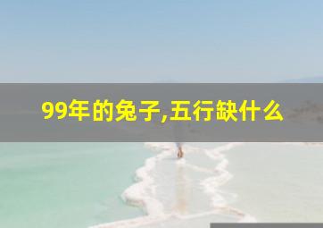 99年的兔子,五行缺什么