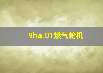 9ha.01燃气轮机