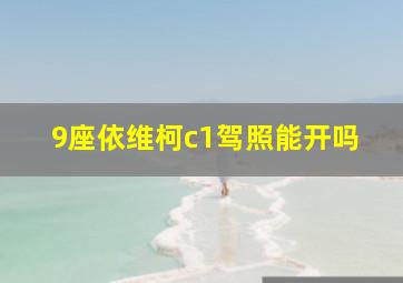 9座依维柯c1驾照能开吗