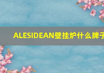 ALESIDEAN壁挂炉什么牌子