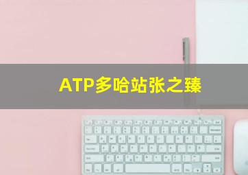 ATP多哈站张之臻