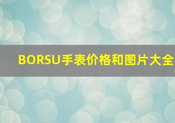 BORSU手表价格和图片大全