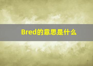 Bred的意思是什么