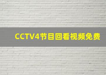 CCTV4节目回看视频免费