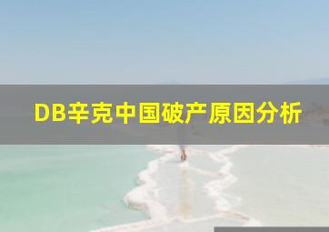 DB辛克中国破产原因分析