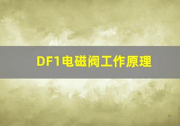 DF1电磁阀工作原理