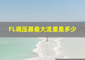 FL调压器最大流量是多少