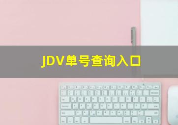 JDV单号查询入口