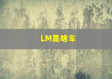 LM是啥车