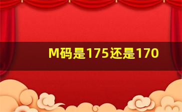 M码是175还是170