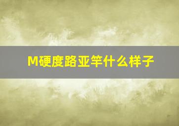 M硬度路亚竿什么样子