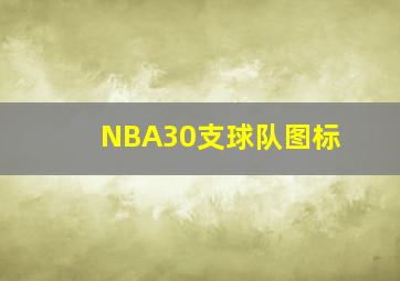 NBA30支球队图标