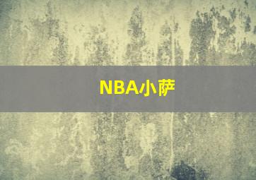 NBA小萨