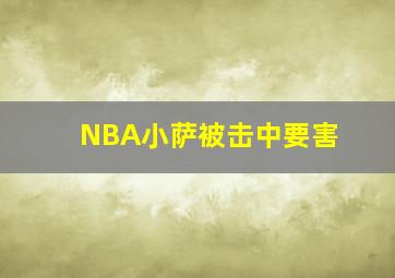 NBA小萨被击中要害