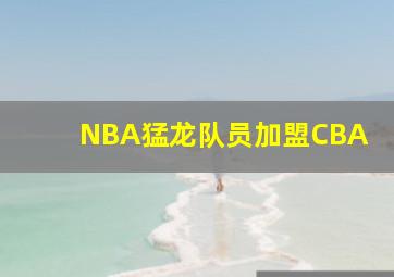 NBA猛龙队员加盟CBA