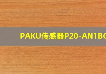 PAKU传感器P20-AN1BG1HR