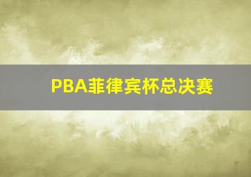 PBA菲律宾杯总决赛