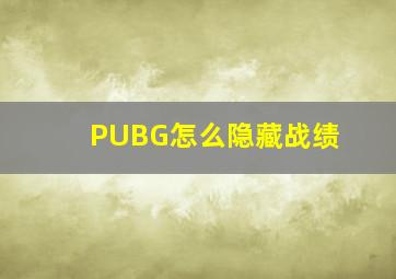 PUBG怎么隐藏战绩