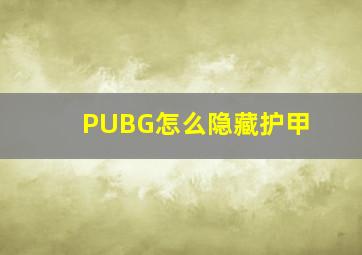 PUBG怎么隐藏护甲