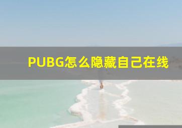 PUBG怎么隐藏自己在线