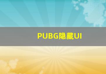 PUBG隐藏UI