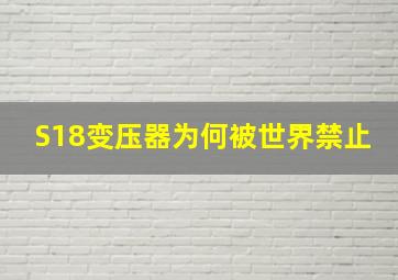 S18变压器为何被世界禁止