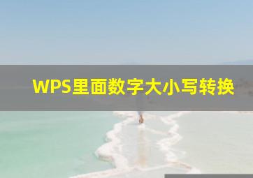 WPS里面数字大小写转换