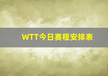 WTT今日赛程安排表