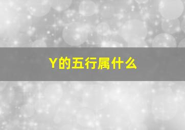 Y的五行属什么