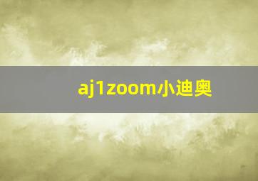 aj1zoom小迪奥