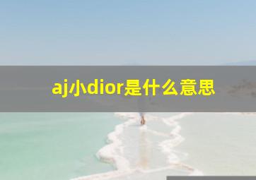 aj小dior是什么意思