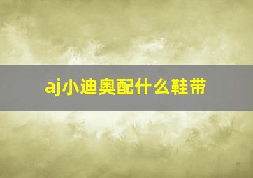 aj小迪奥配什么鞋带